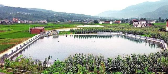 重庆开州区精准解决12万农村贫困人口饮水安全问题！